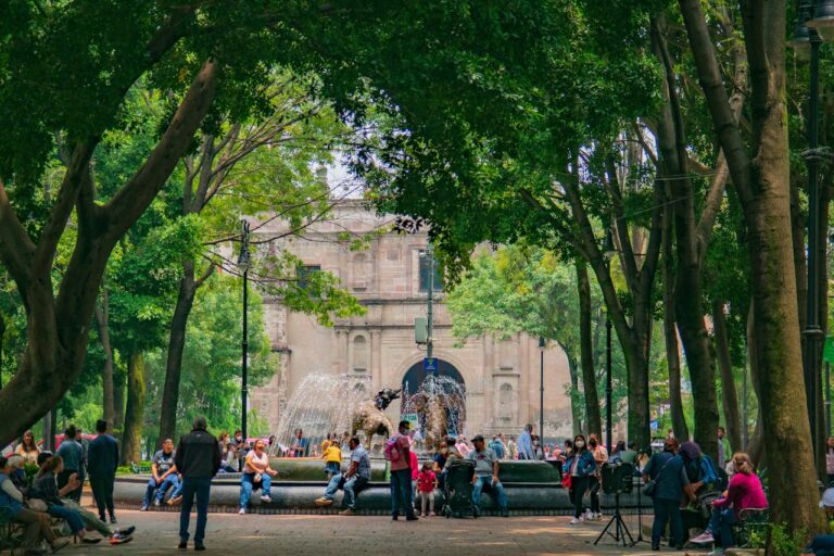 Coyoacán 2