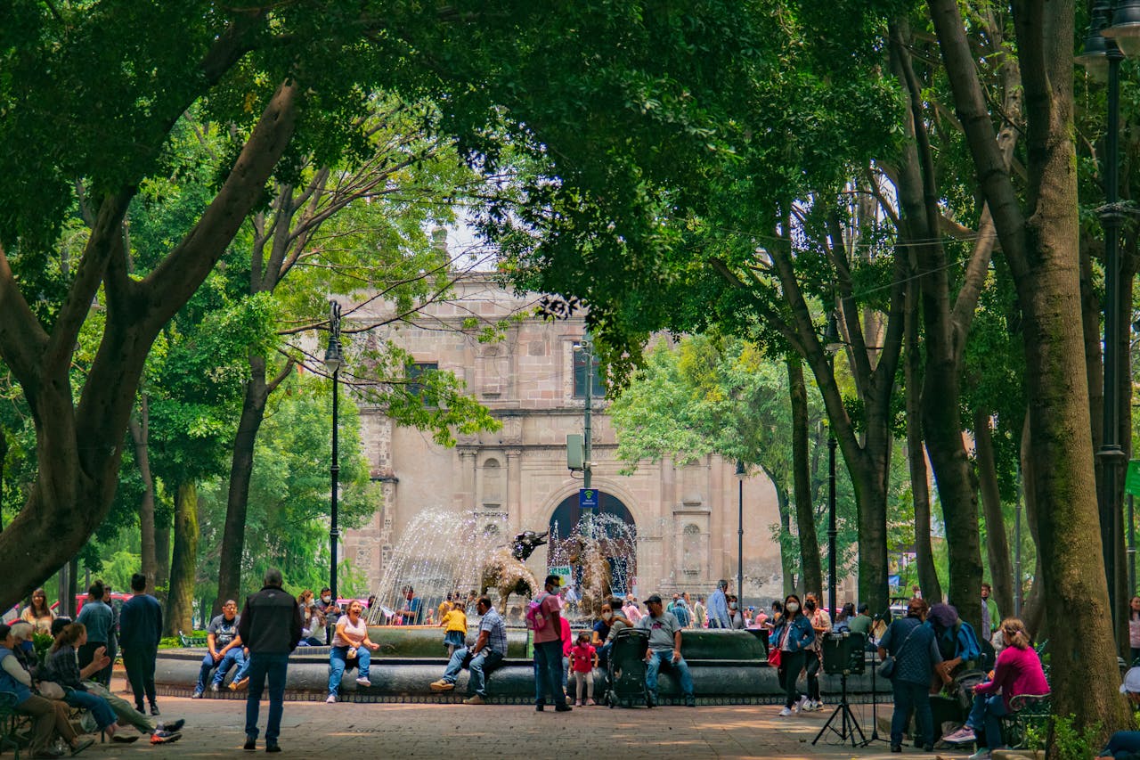Coyoacán 2